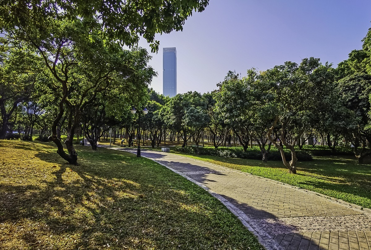 深圳中心公园掠影