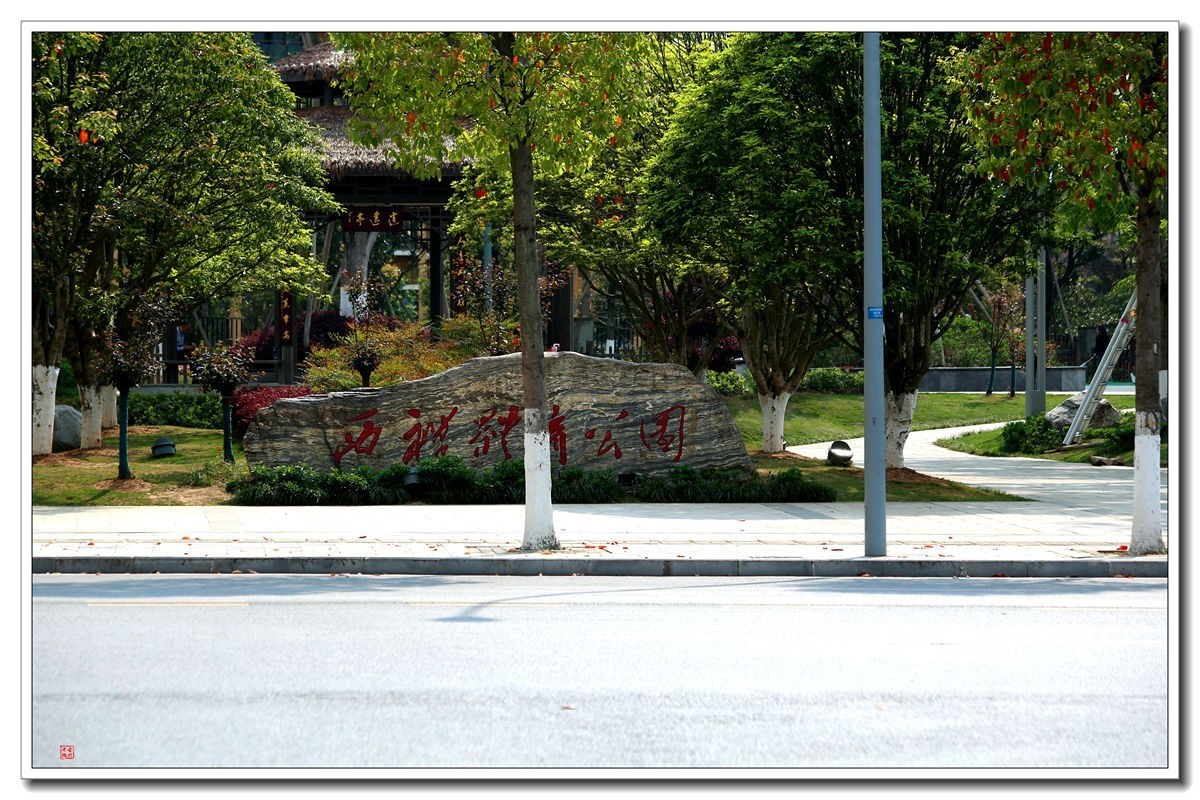 70300(小小黑)已卖纪念