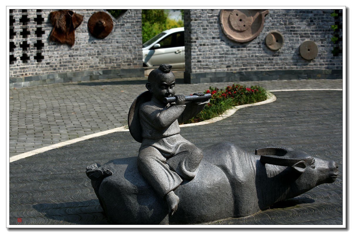 70300(小小黑)已卖纪念