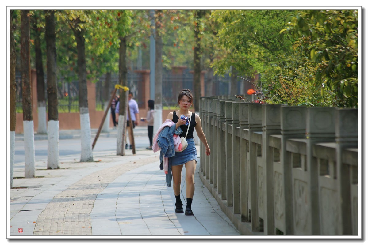 70300(小小黑)已卖纪念