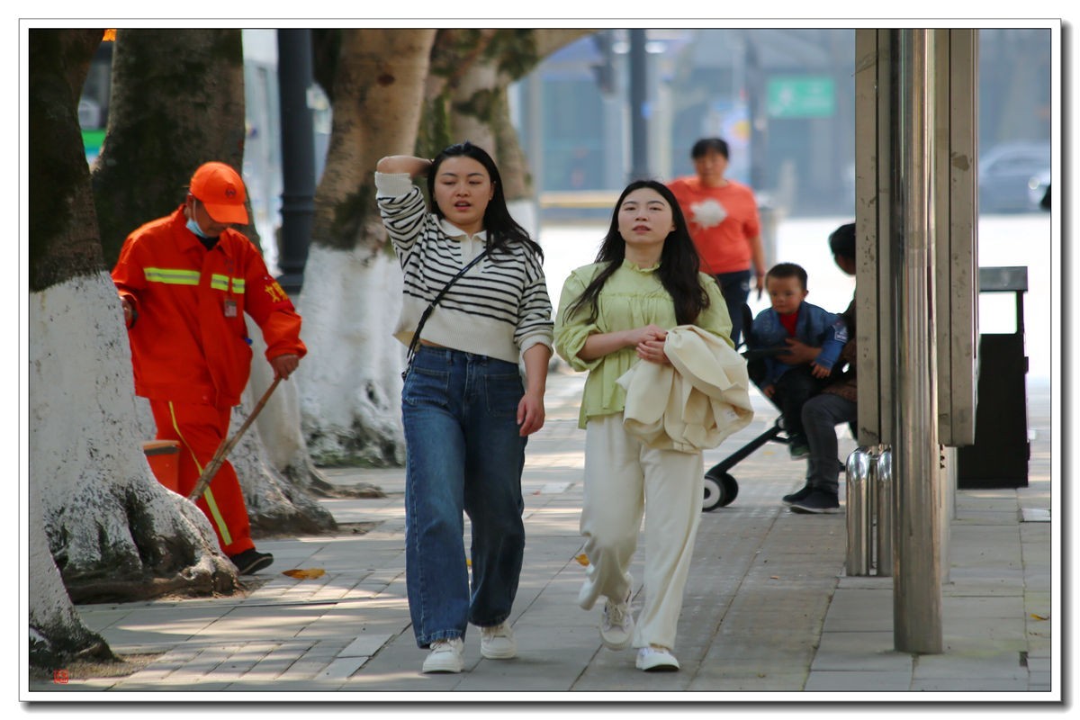 70300(小小黑)已卖纪念