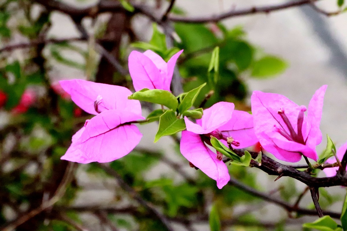 欢庆国庆，游乐园漫游(六)