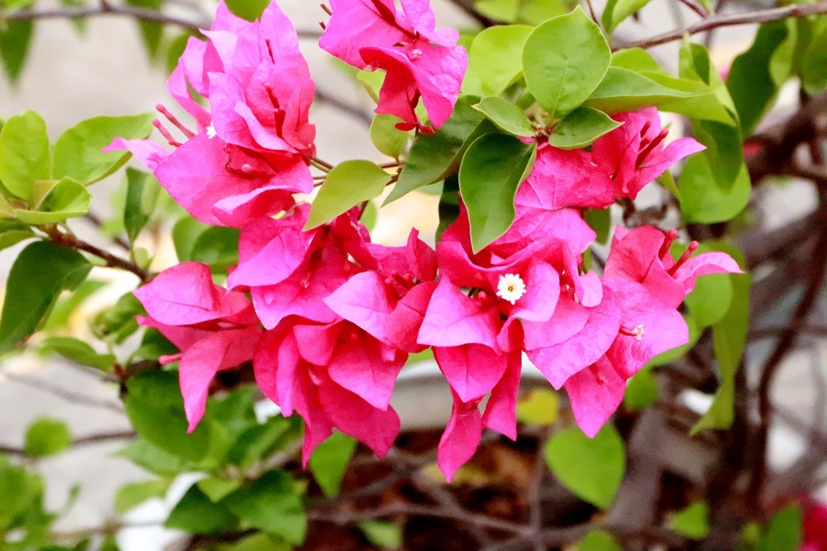 欢庆国庆，游乐园漫游(六)