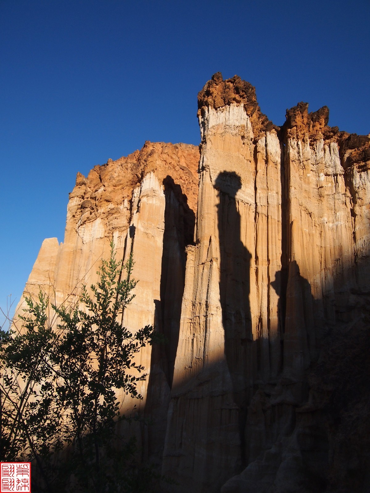 2023.12元谋土林（19）