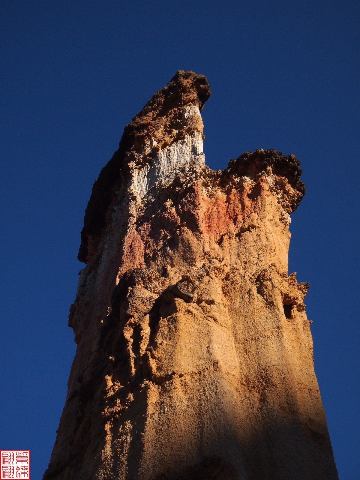 2023.12元谋土林（19）