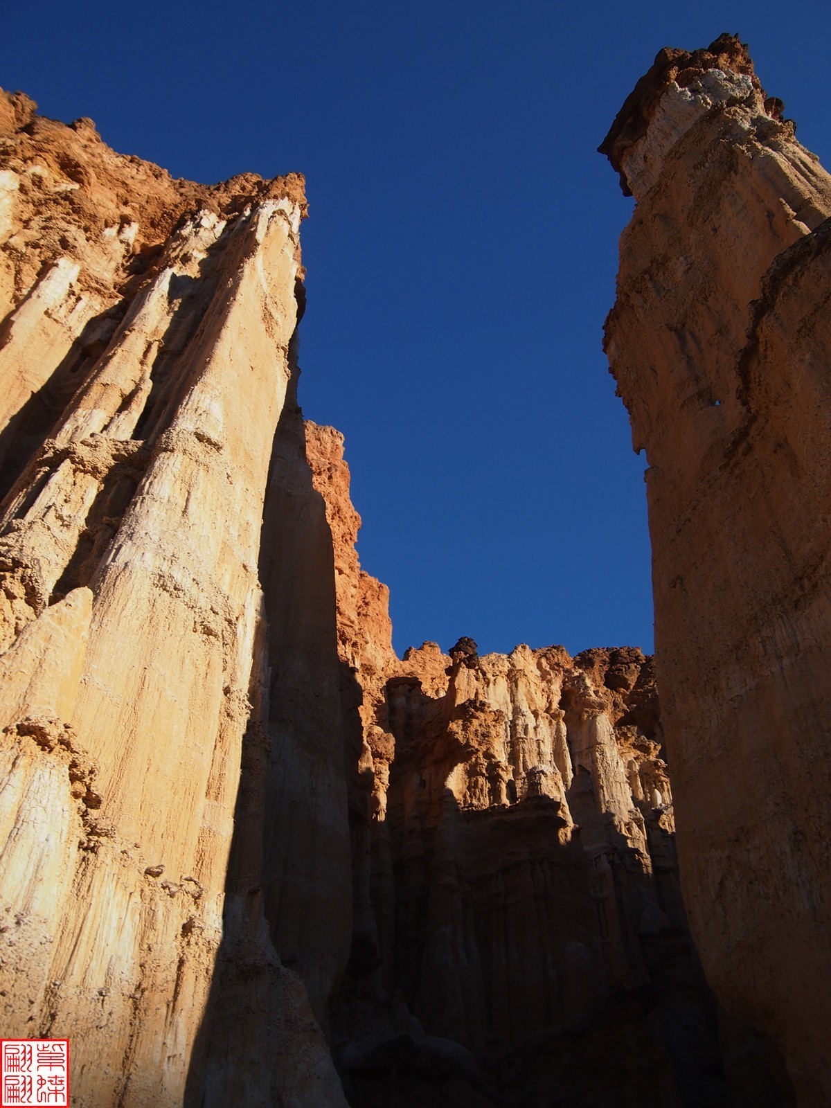 2023.12元谋土林（19）