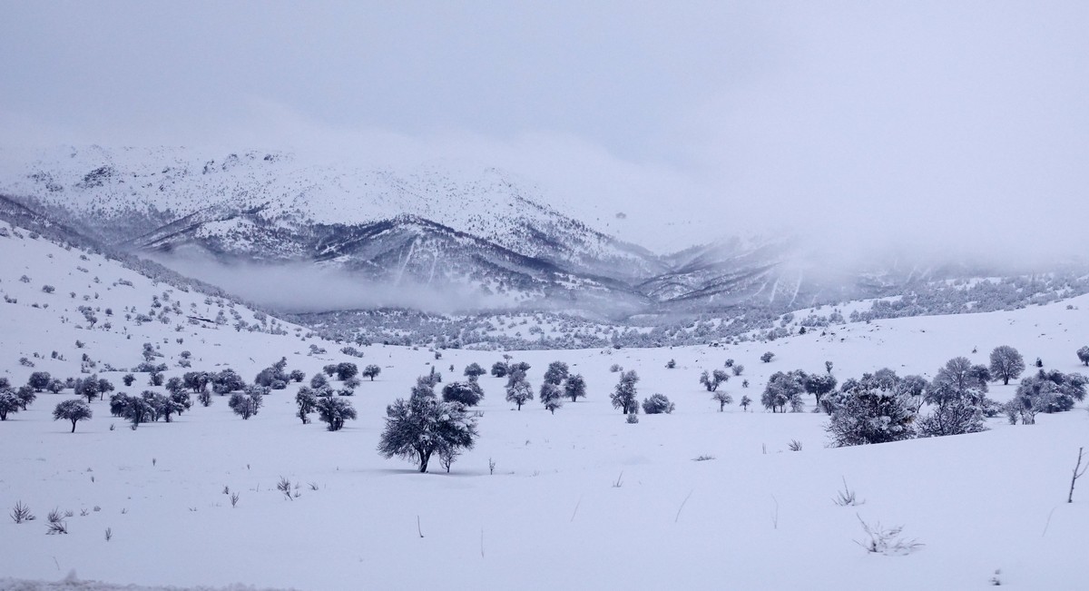 跟团游土耳其--孔亚、途经托罗斯山脉、阿波罗神庙遗址