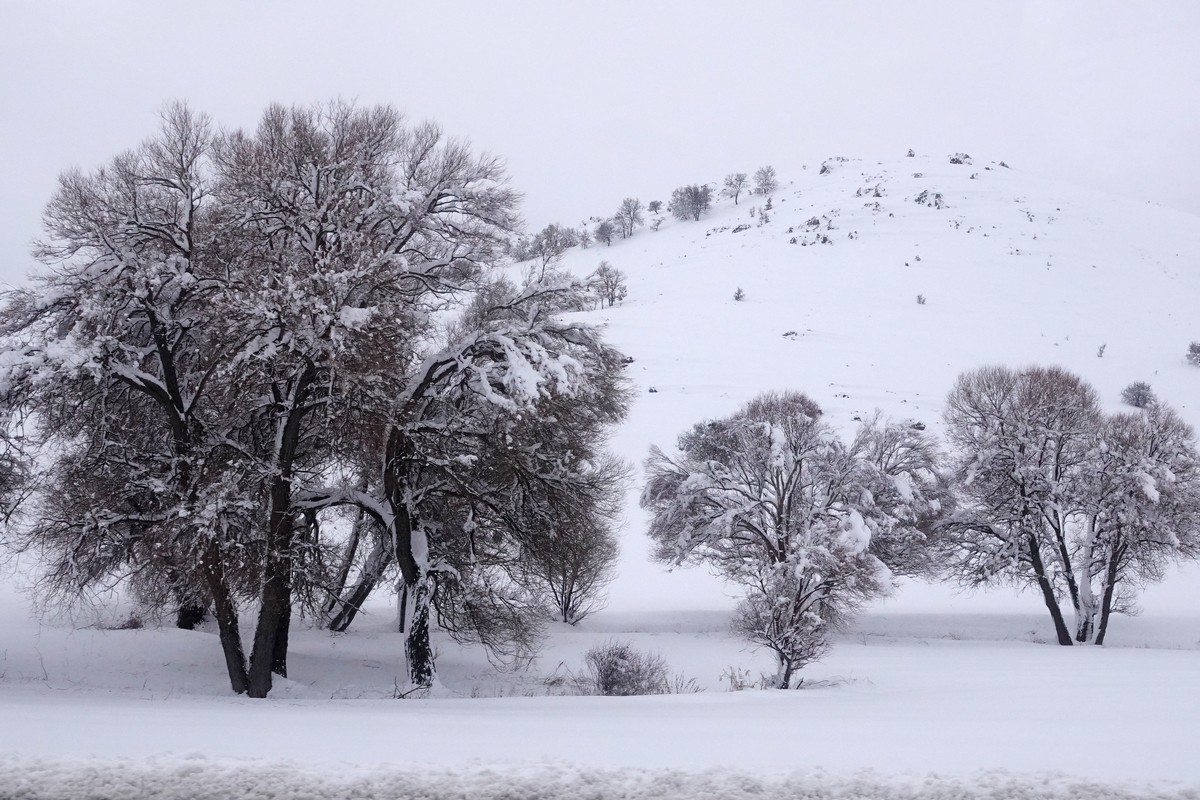 跟团游土耳其--孔亚、途经托罗斯山脉、阿波罗神庙遗址