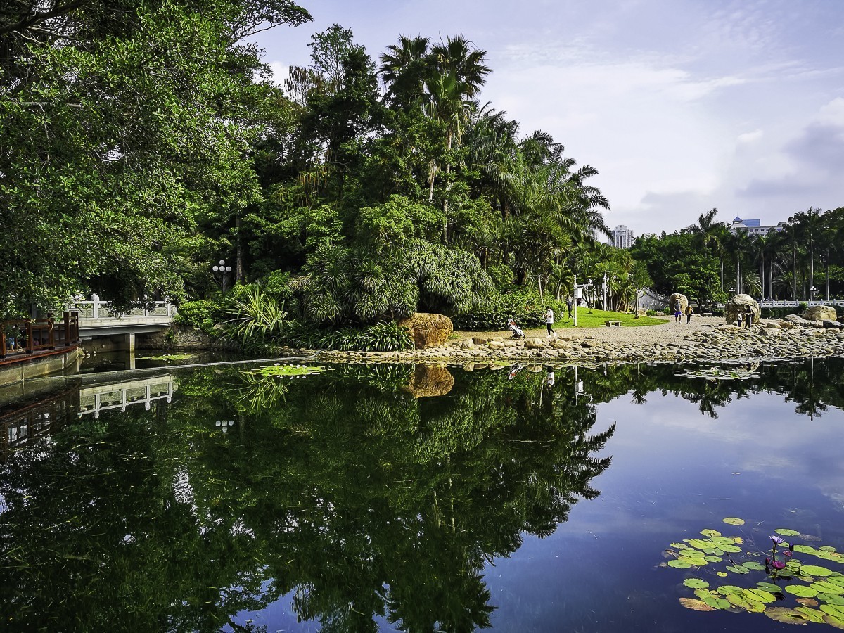 深圳荔枝公园掠影