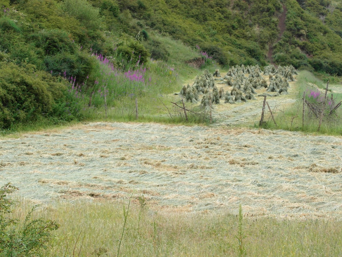 原始的自然风光