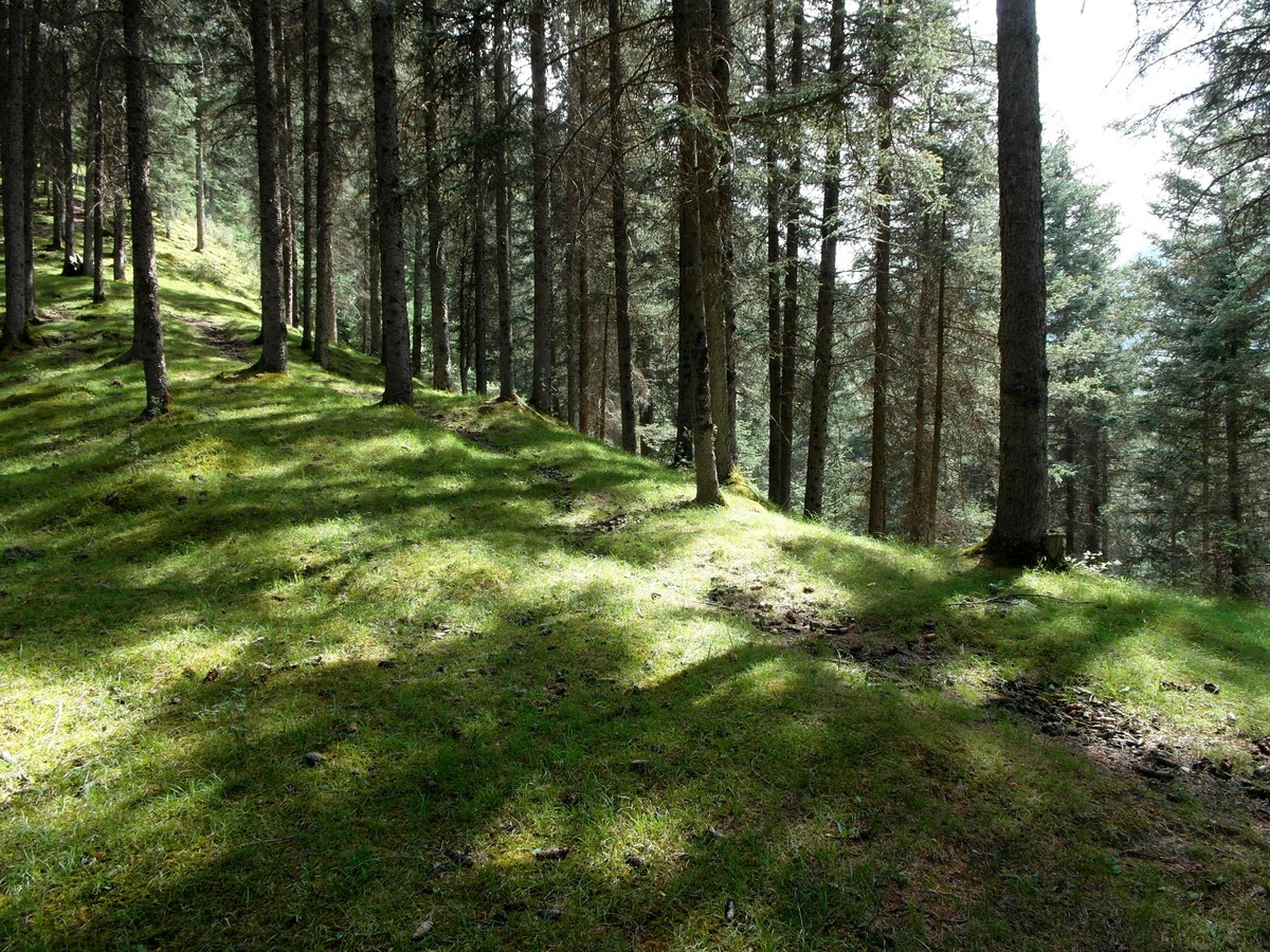 原始的自然风光