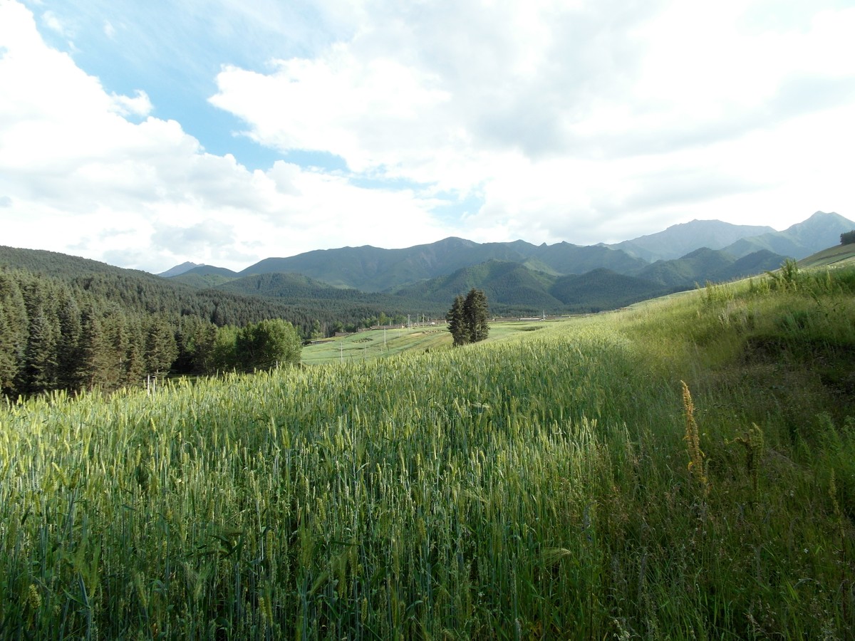 原始的自然风光