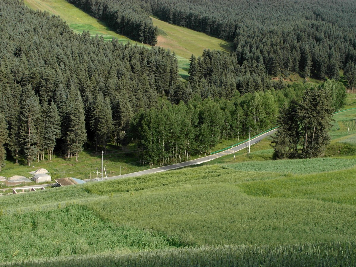 原始的自然风光