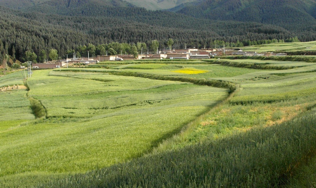 原始的自然风光