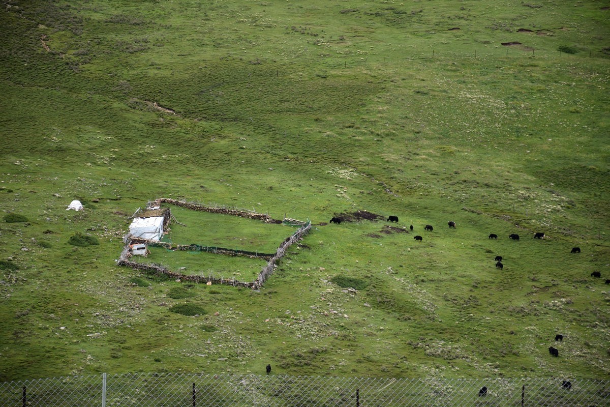 2023夏 黔赣鄂渝川（94）进入道孚