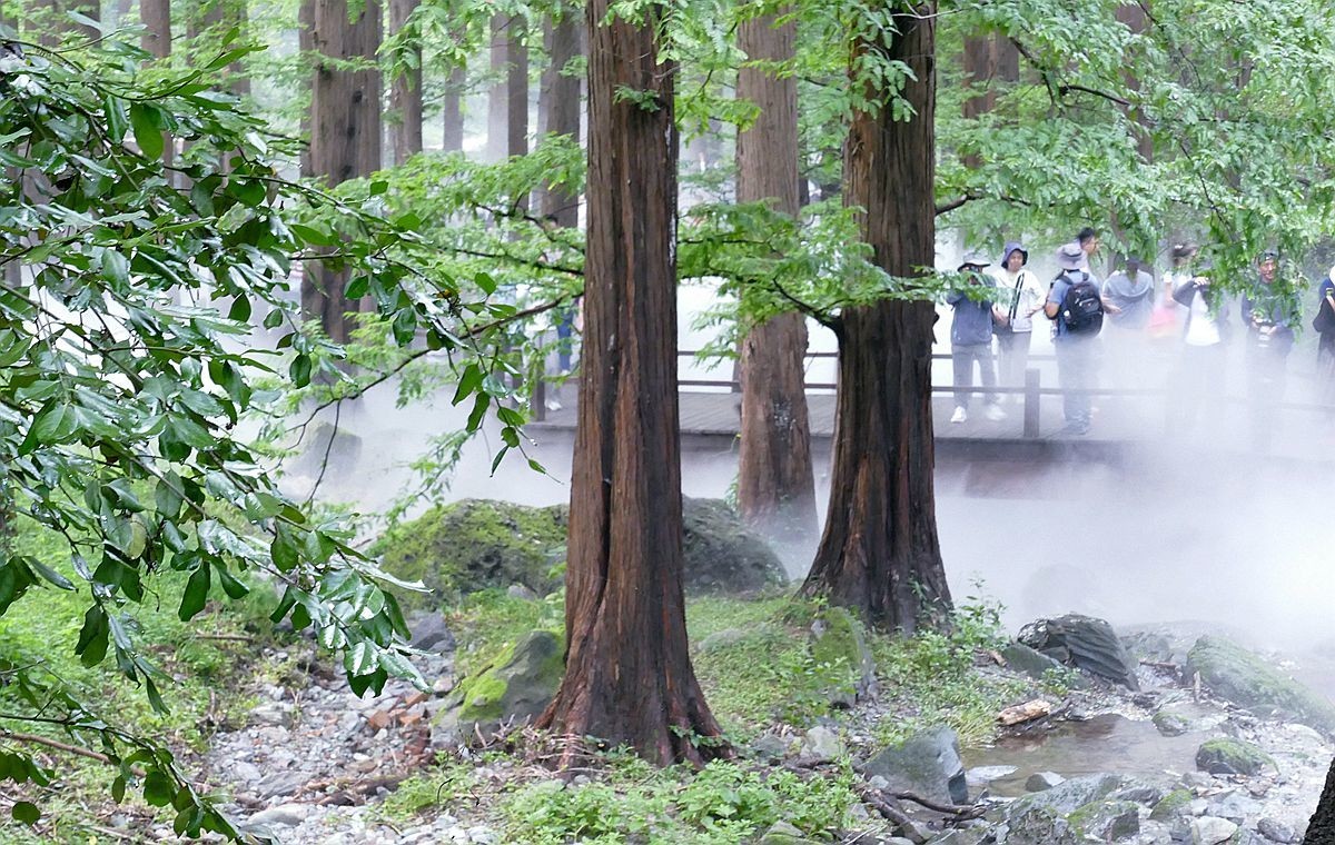 植物园 樱 桃 沟【二】