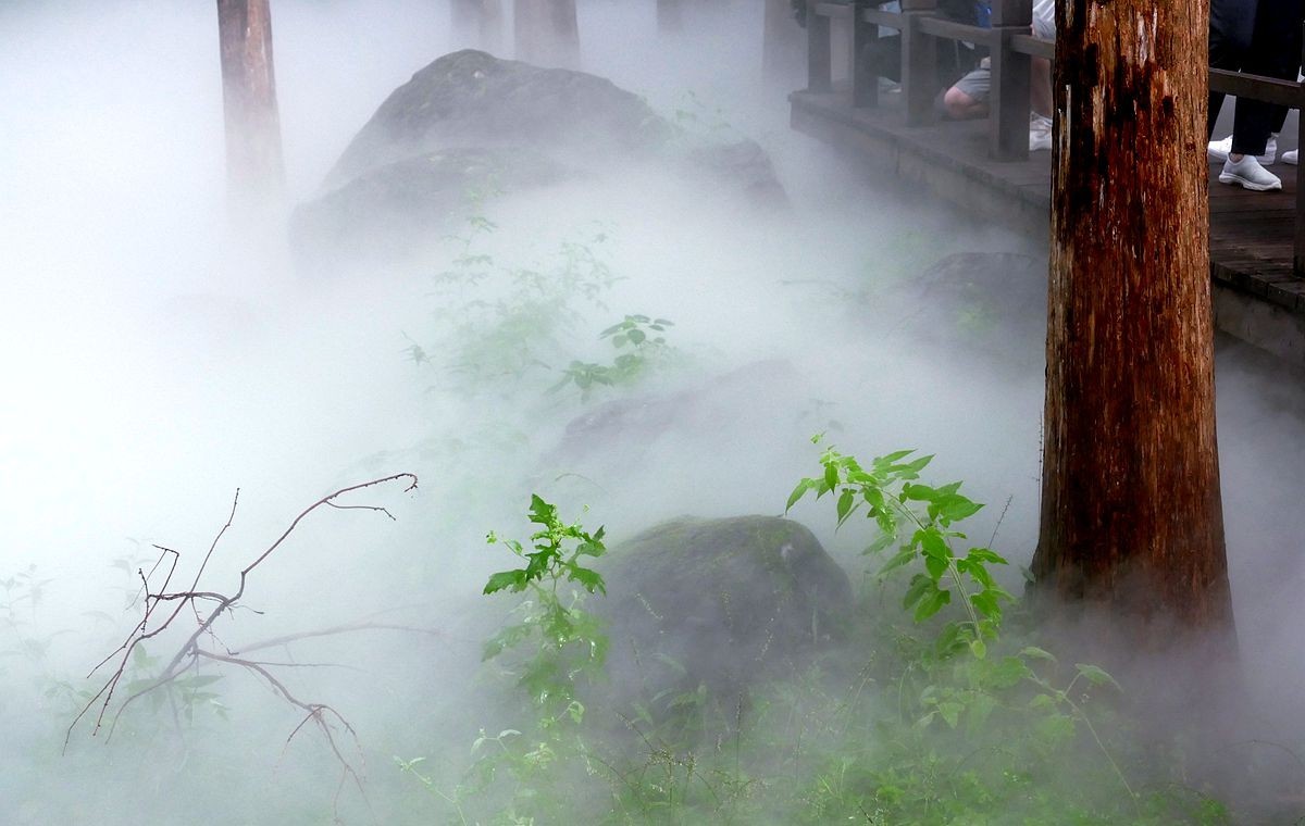 植物园 樱 桃 沟【二】