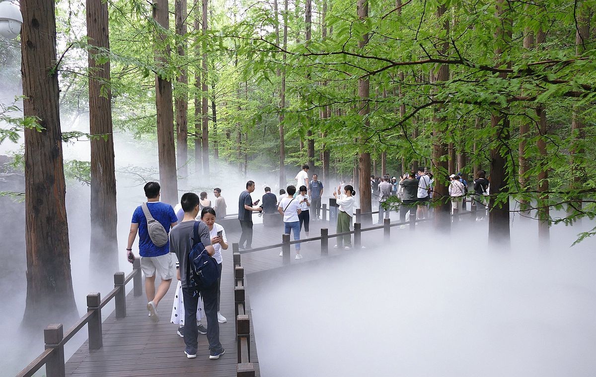 植物园 樱 桃 沟【二】