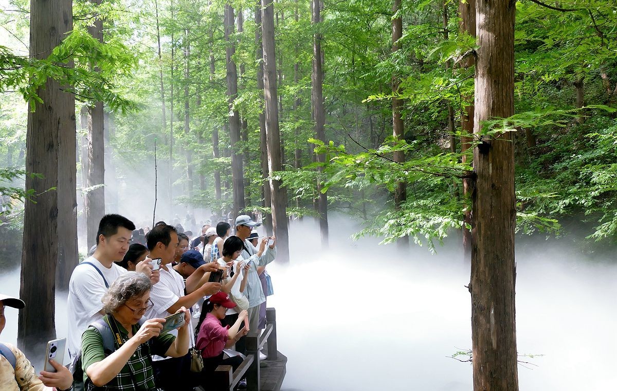 植物园 樱 桃 沟【二】