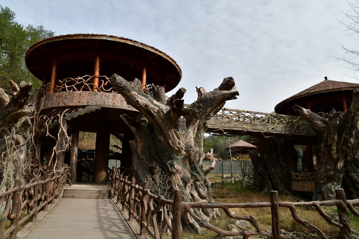 我只是把出去看到的随手记录下来（120）