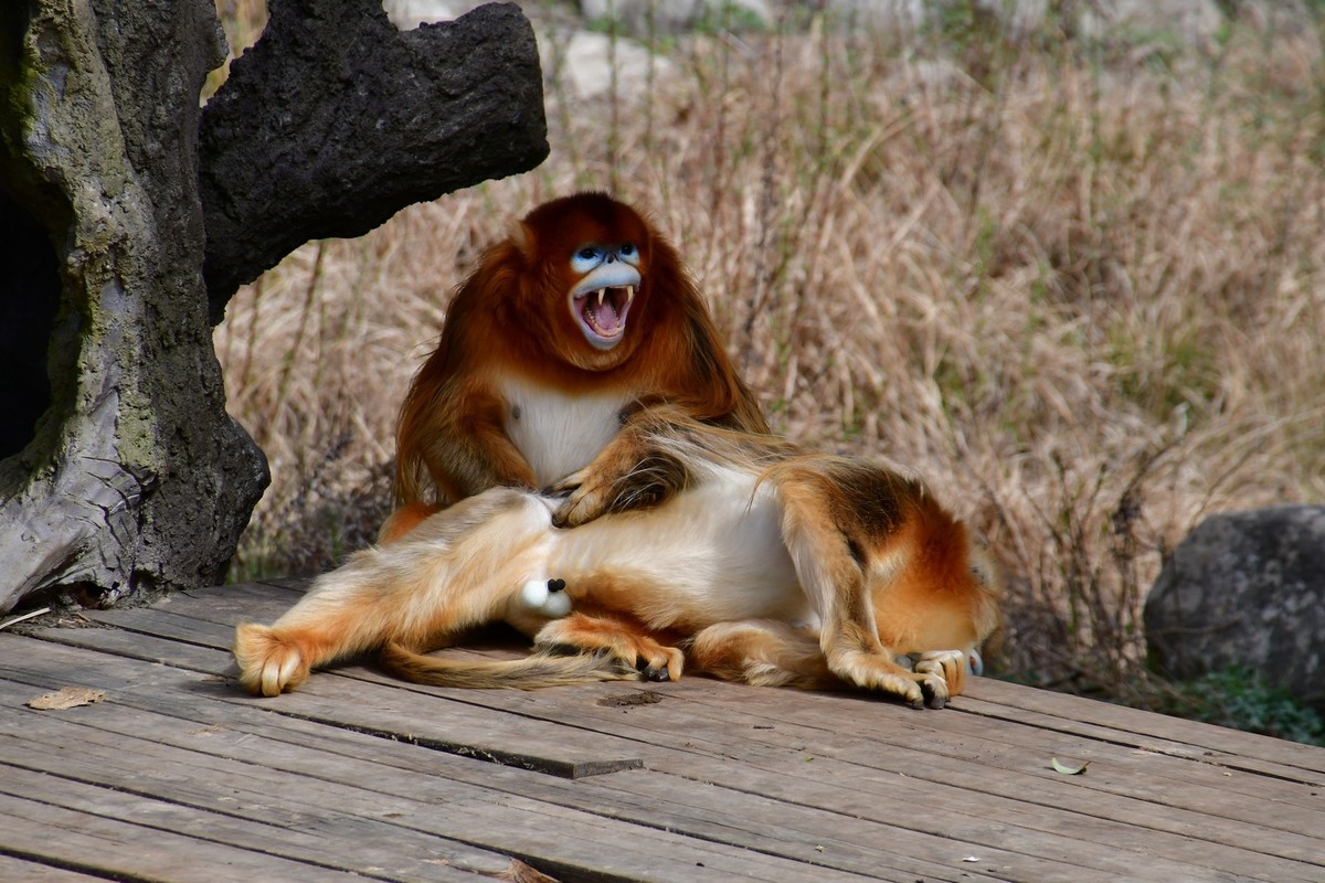 我只是把出去看到的随手记录下来（120）