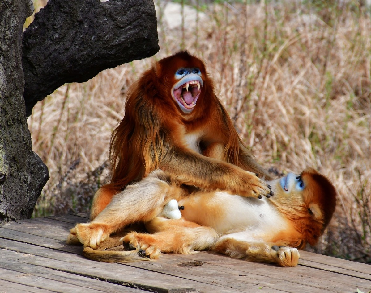 我只是把出去看到的随手记录下来（120）