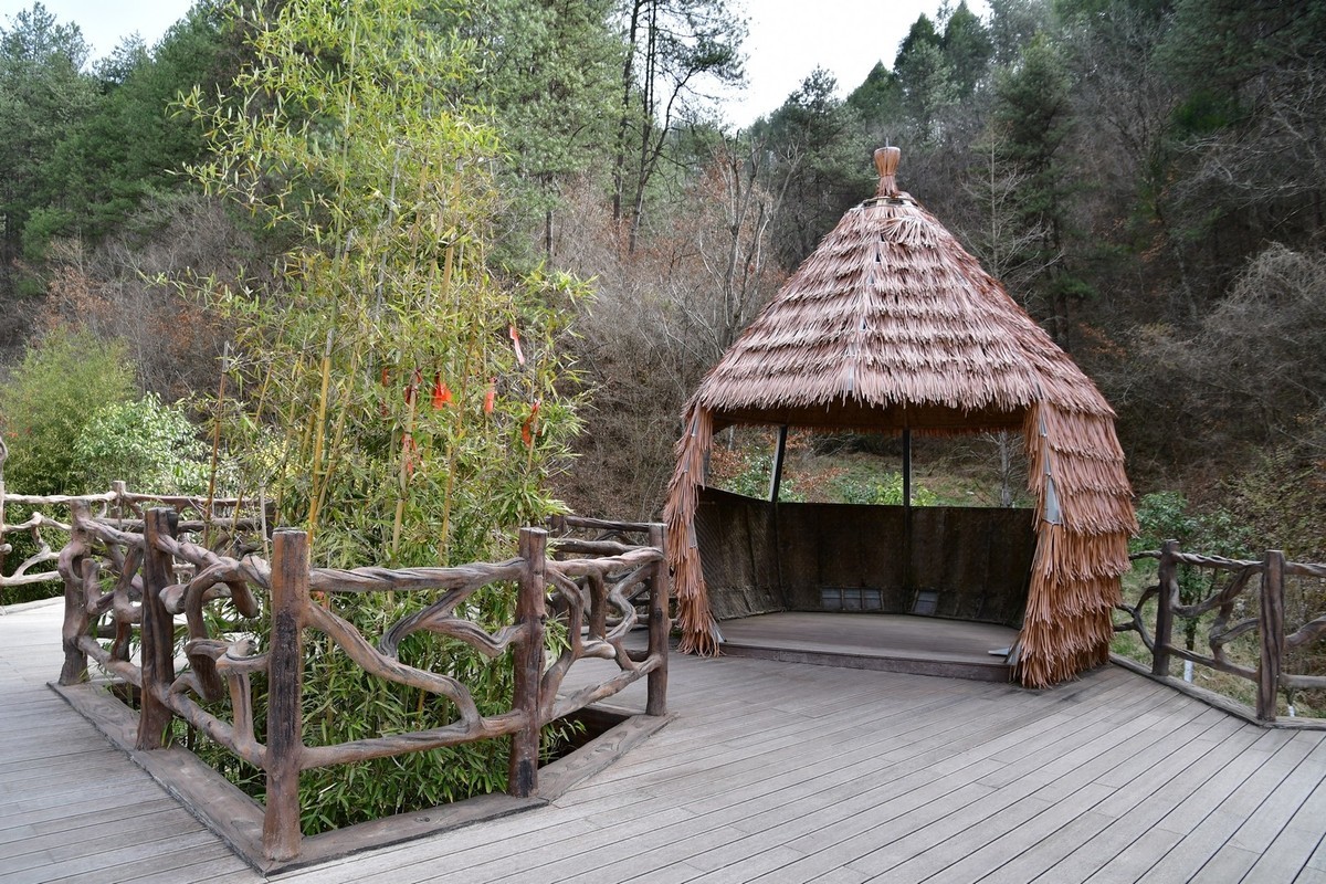 我只是把出去看到的随手记录下来（120）