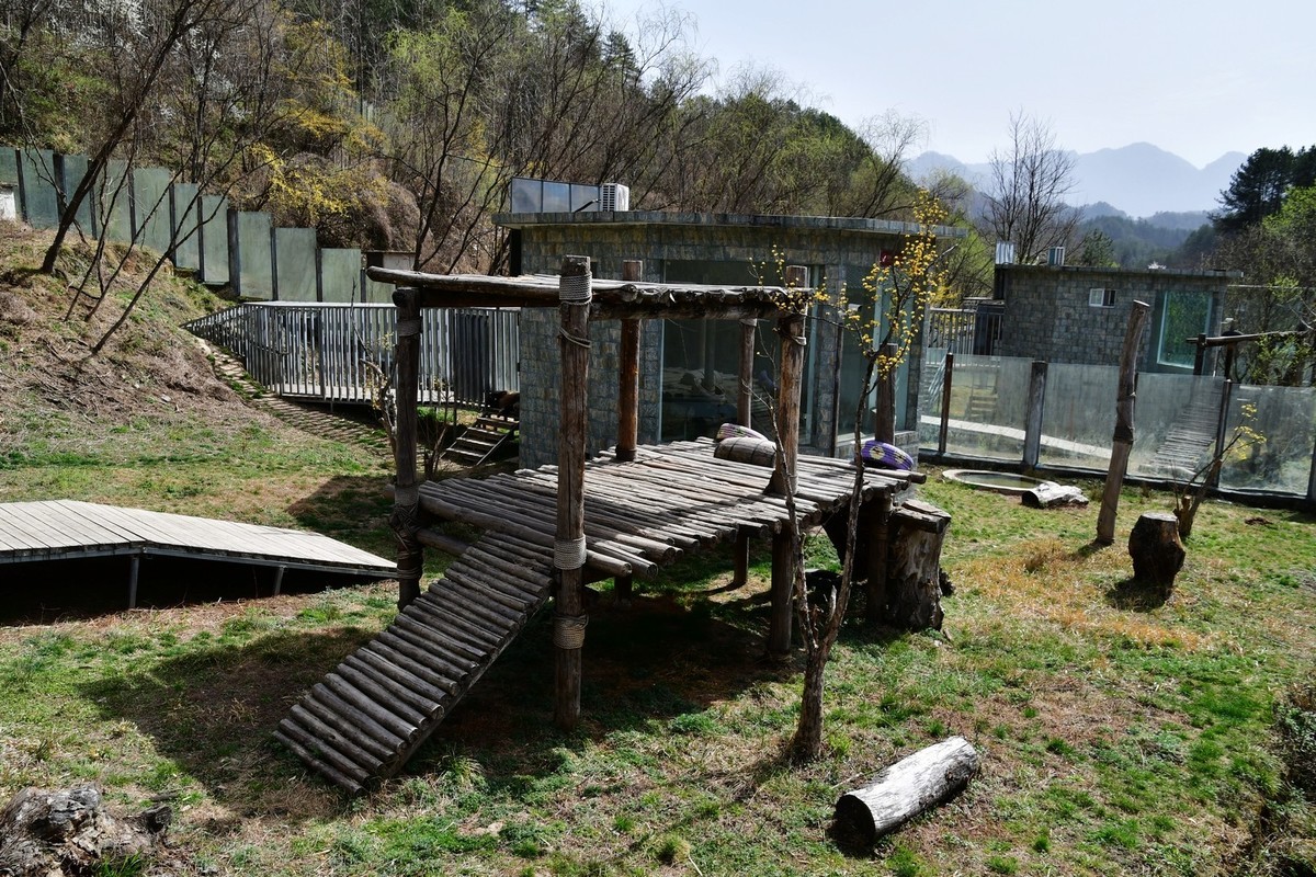 我只是把出去看到的随手记录下来（120）