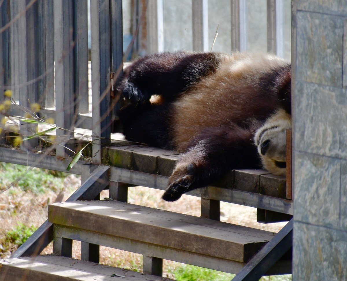 我只是把出去看到的随手记录下来（120）