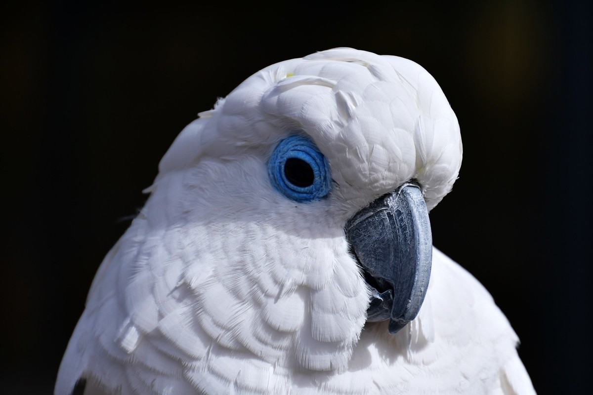 我只是把出去看到的随手记录下来（120）