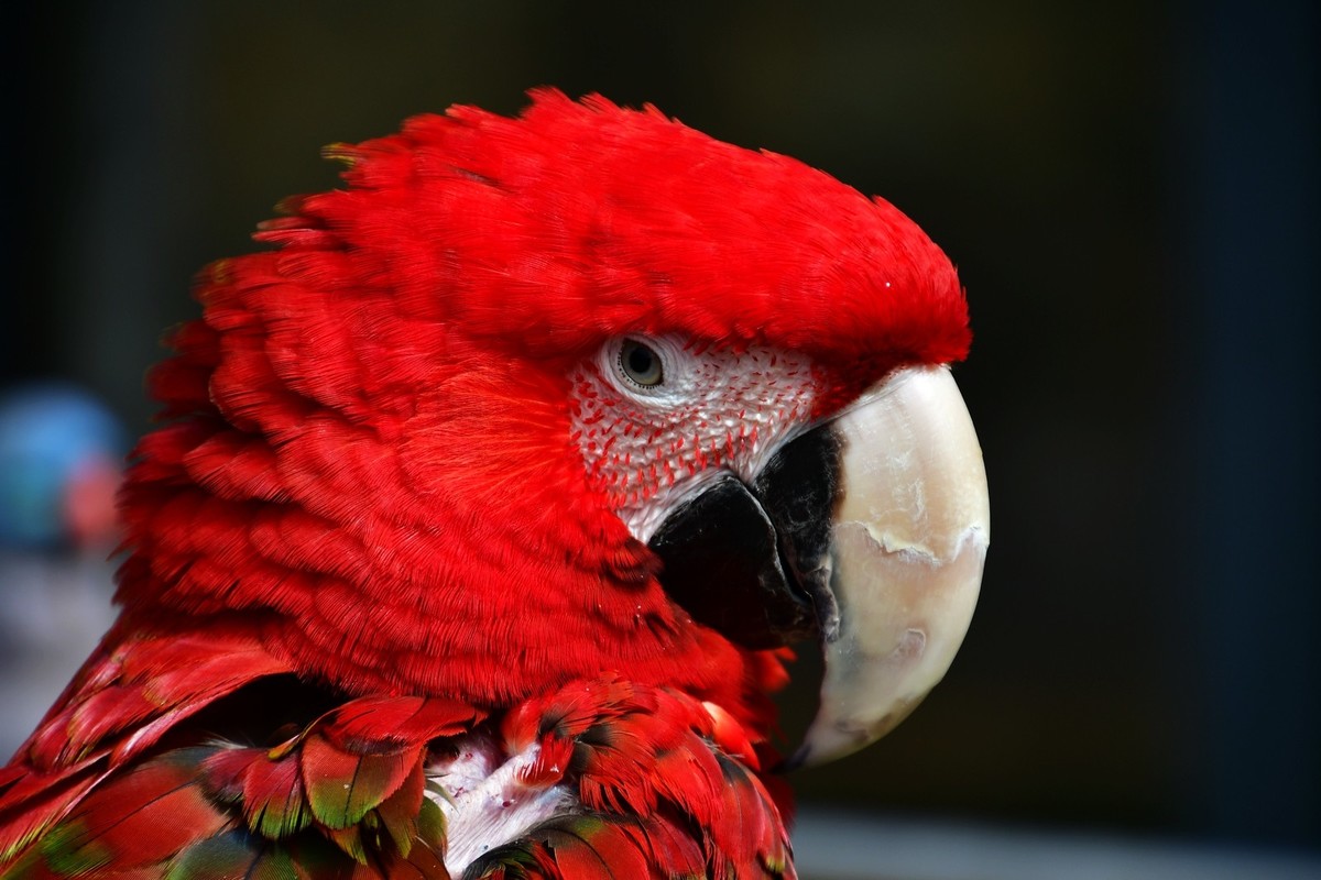 我只是把出去看到的随手记录下来（120）