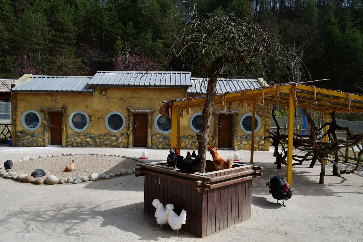 我只是把出去看到的随手记录下来（120）