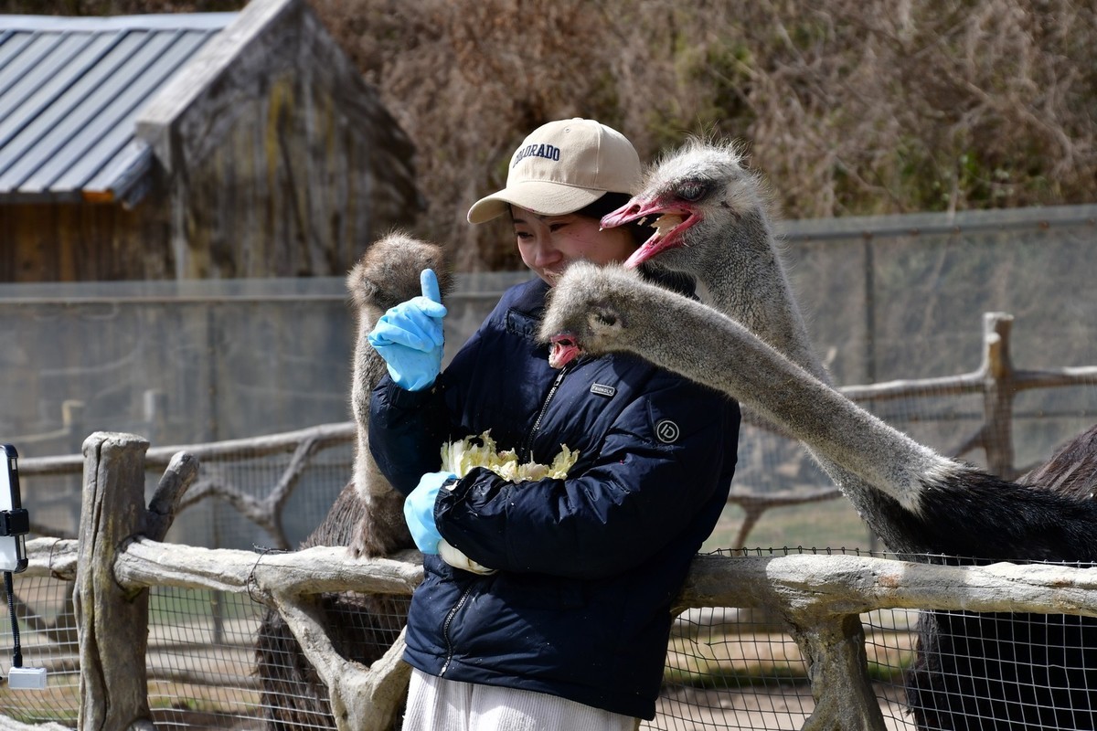 我只是把出去看到的随手记录下来（120）