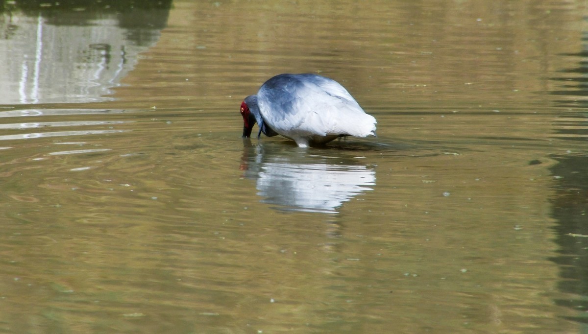 我只是把出去看到的随手记录下来（120）