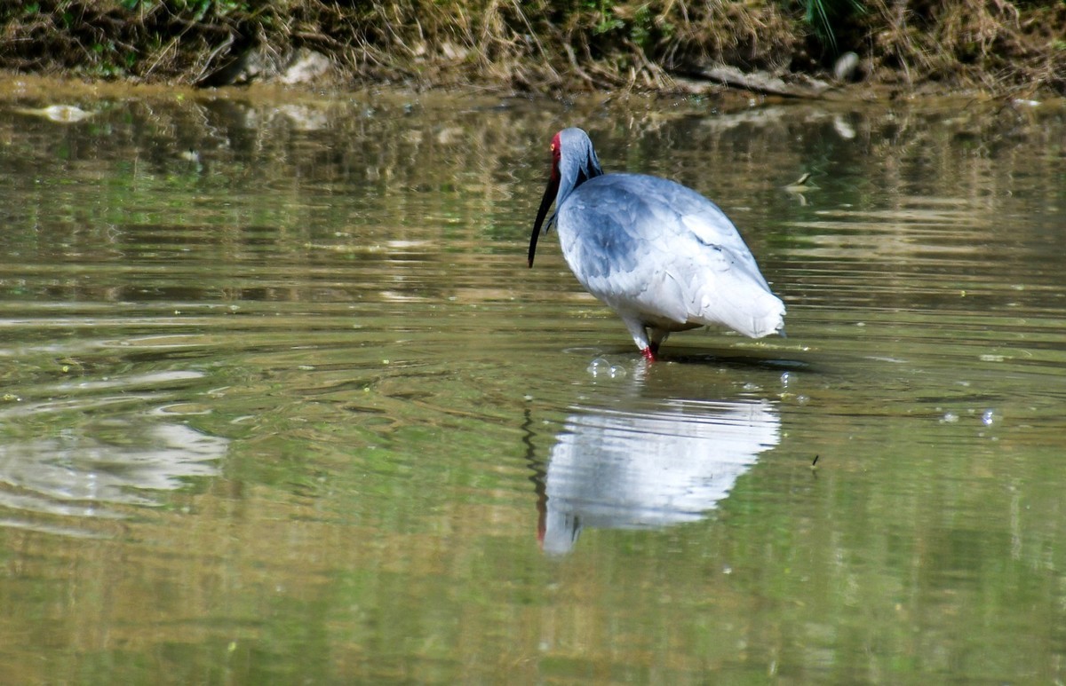 我只是把出去看到的随手记录下来（120）