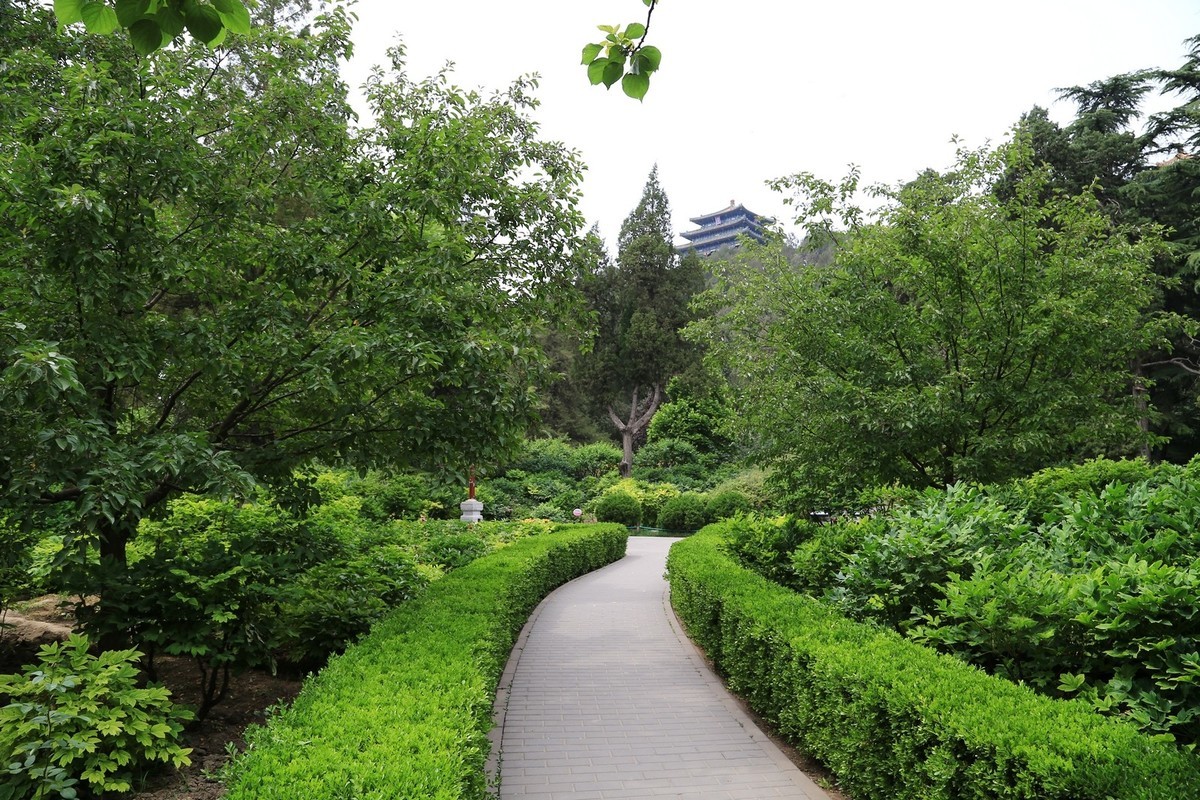 我只是把出去看到的随手记录下来（123）