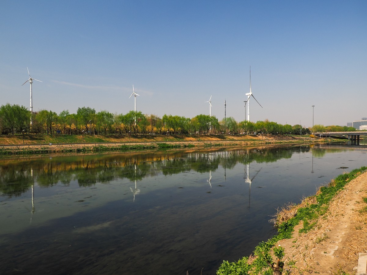 京南凉水河（水车，风力发电机，枫树花，黄蔷薇等）