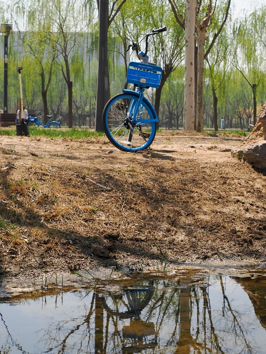 京南凉水河（水车，风力发电机，枫树花，黄蔷薇等）