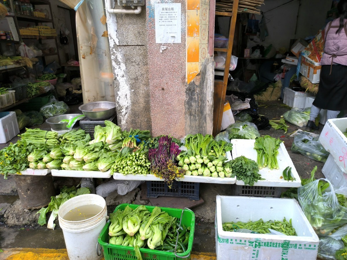 2025春节 广东行（100）大鹏所城