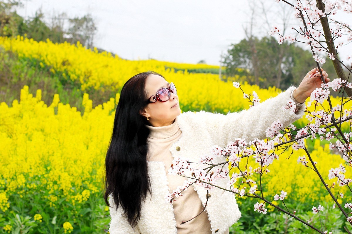 春天的美丽油菜花