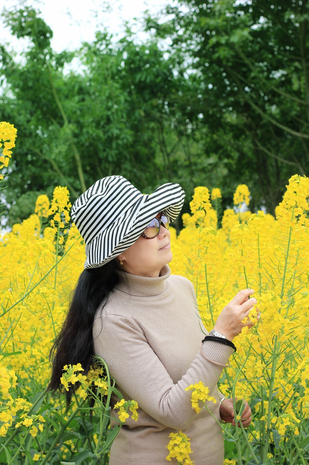 春天的美丽油菜花