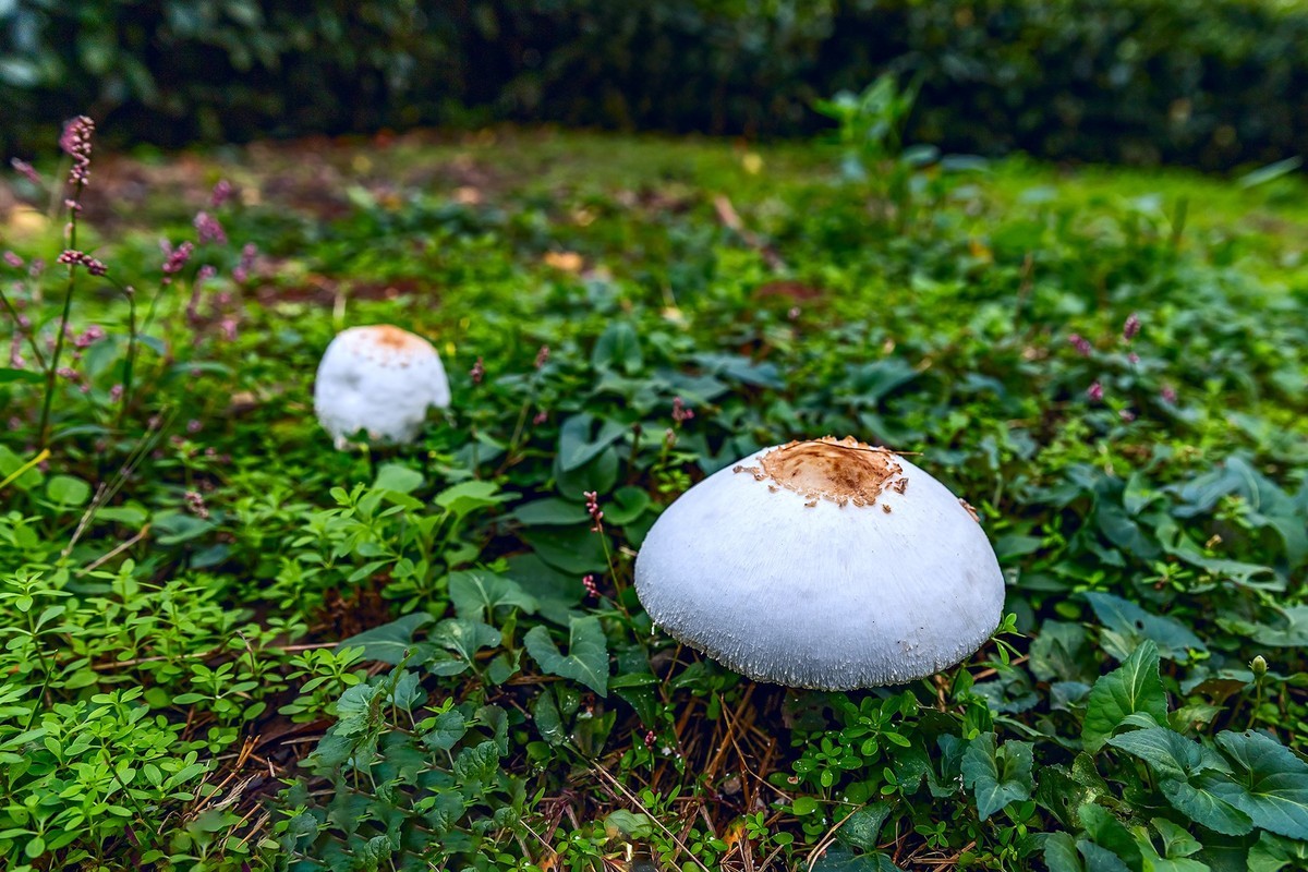 旅游记录 ：江西 · 南昌 · 凤凰沟风景区