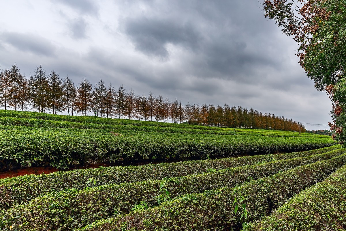 旅游记录 ：江西 · 南昌 · 凤凰沟风景区