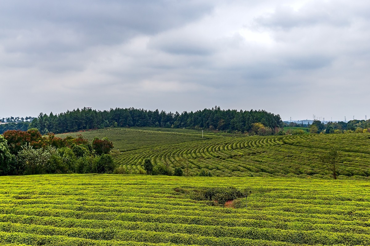 旅游记录 ：江西 · 南昌 · 凤凰沟风景区