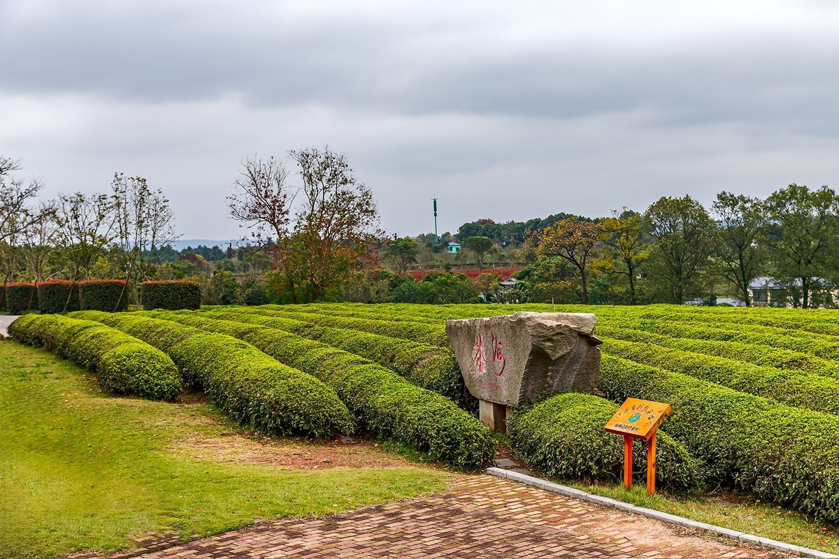 旅游记录 ：江西 · 南昌 · 凤凰沟风景区