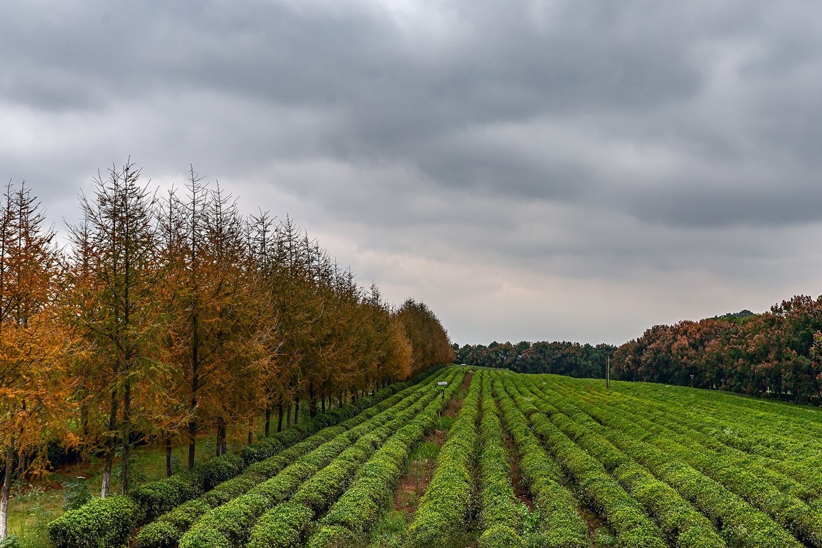 旅游记录 ：江西 · 南昌 · 凤凰沟风景区