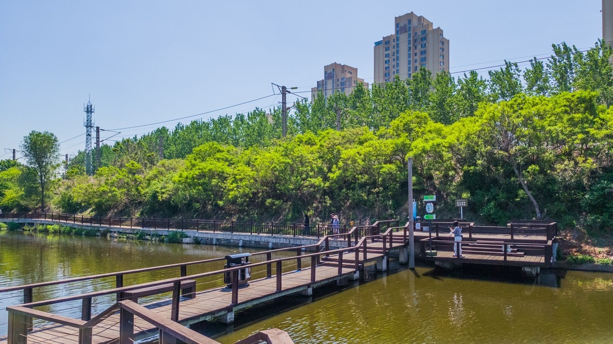 大 连 前 关 湿 地 （ 二 ）