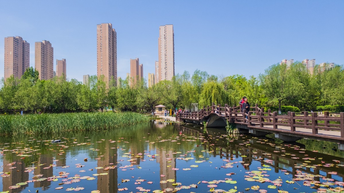 大 连 前 关 湿 地 （ 二 ）