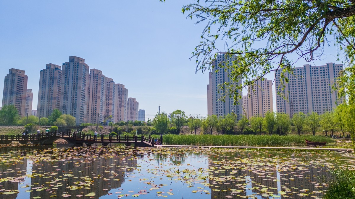 大 连 前 关 湿 地 （ 二 ）