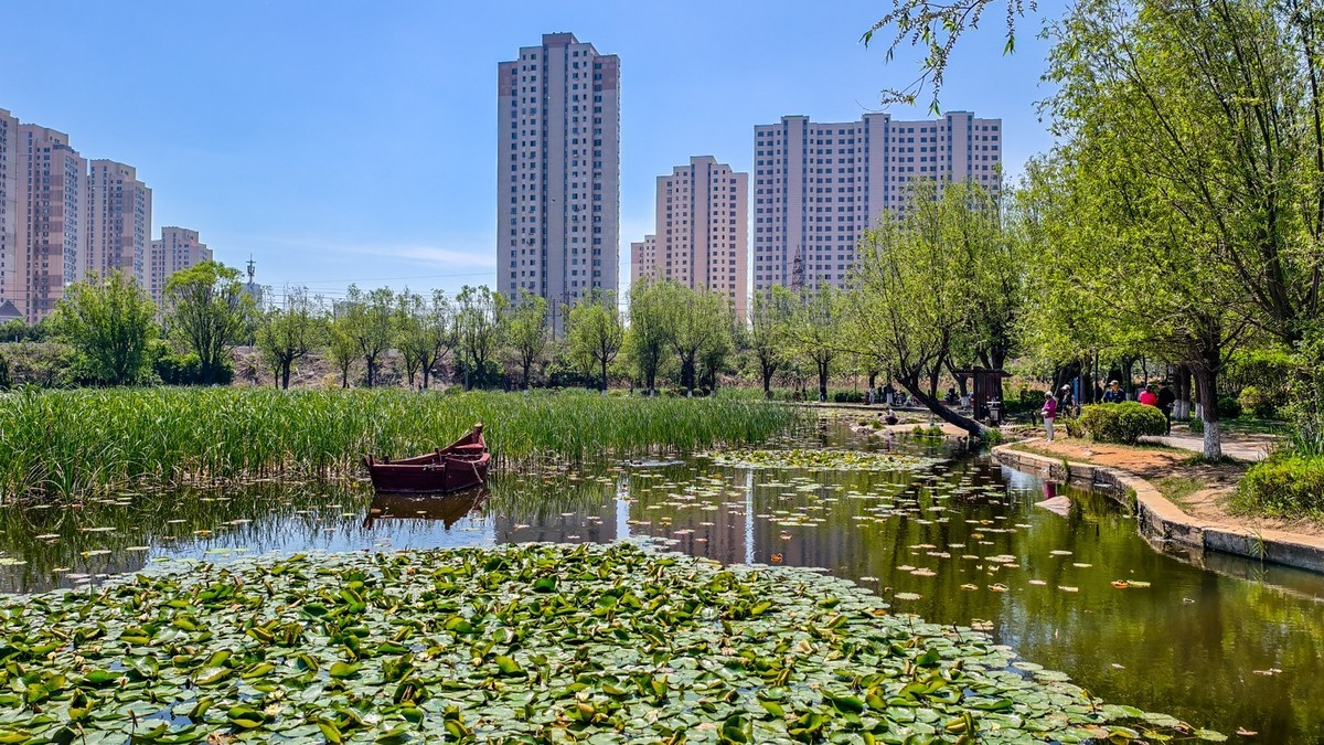 大 连 前 关 湿 地 （ 二 ）